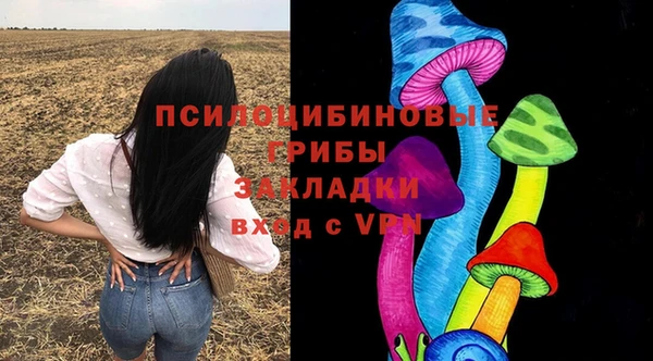 СК Балахна