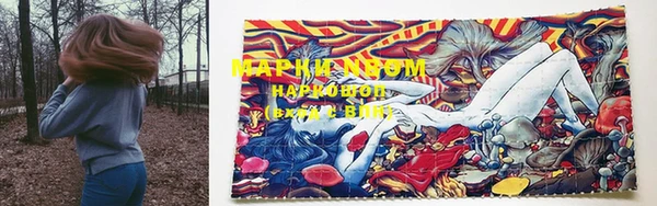 прущие грибы Балабаново