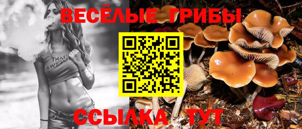 Псилоцибиновые грибы Cubensis  Вход с VPN  Борисоглебск 