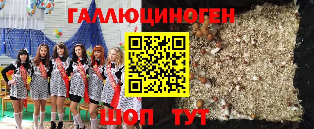 Псилоцибиновые грибы Cubensis Борисоглебск