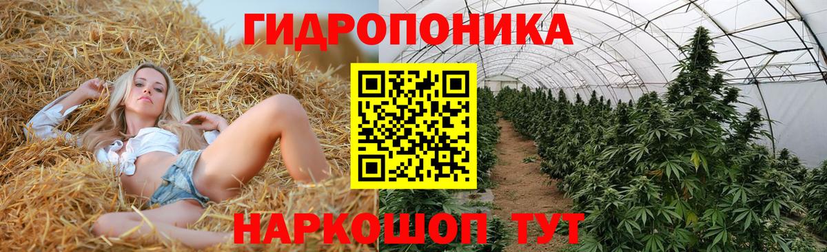 Шишки марихуана OG Kush  Бошки марихуана Bruce Banner  Шишки марихуана MAZAR  МАРИХУАНА Amnesia  Борисоглебск  Вход с VPN 
